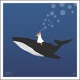Whale Surfing Single