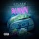 Burnin feat Nump Rippy Single
