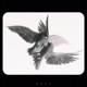Daydreamer Syndrome Single