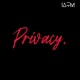 Privacy feat Gerald Spikes Single