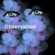 Observation Single