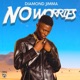 No Worries Single