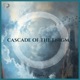Cascade of the Enigma Single