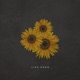 Life Song Single