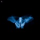 euphoria Single