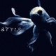 style Single