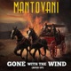 Gone With The Wind Sped Up Single
