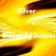 Blooming Daisies Single