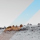 Dune Single