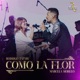 Como La Flor feat Marcela Morelo En Vivo Single