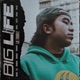 Big Life feat Ginjin FLA Vandebo GangBay ThunderZ Enerel Tsetse Desant Big Gee Single
