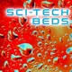 Sci Tech Beds