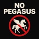 NO PEGASUS Single