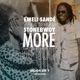 More of You Booker T Remixes EP