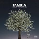 Para feat ATYPISK Single