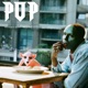 Pop Single