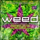 Weed feat Devin The Dude Smoke Dza Single WEED US