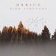 Bird Serenade Single