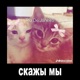 скажы мы Single