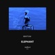 Elephant Single
