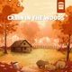 Cabin in the Woods Single