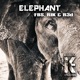 Elephant Single