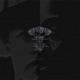 Yeah feat Mazbou Q Single