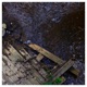 Precipice feat Bear Single