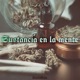 Sustancia en la mente Single