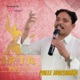 Palle Narsimha Vol 1