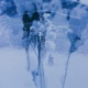 Melt Single