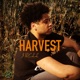 Harvest Single