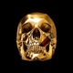 GOLD DAMN B Single