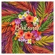 Bailando Extended Mix Single