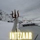 Intezaar feat Anil Kumar Single