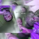 4 R 3 E T S Plug Version Single