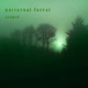 nocturnal forest slowed Single