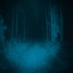 Shredded Lullaby Single