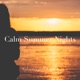 Calm Summer Nights Single