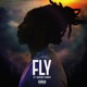 Fly feat Davion Farris Single