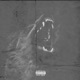 Super Saiyan feat Venchy Single