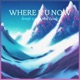 Where R U Now feat brntjc Single