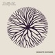 Sesshafte Nomaden Single