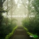 Memories of You TechTonic Remix Single