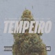 Tempeiro feat Sr Purple X VVVIK YWG Tuga Single