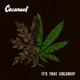 It s That Cocareef