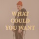 What Could You Want Single