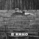 В КИНО feat Хозяйка прайда Single