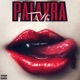 Palavra Single