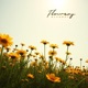 Flowers Single